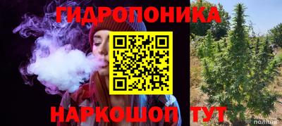 ALPHA PVP Камышлов
