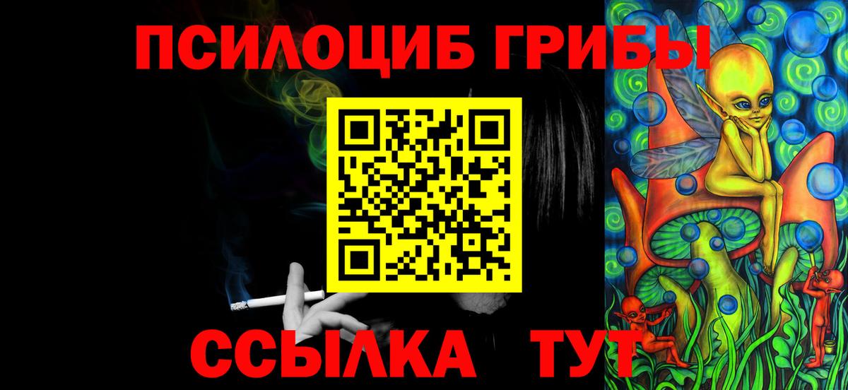 Псилоцибиновые грибы Psilocybe Нальчик