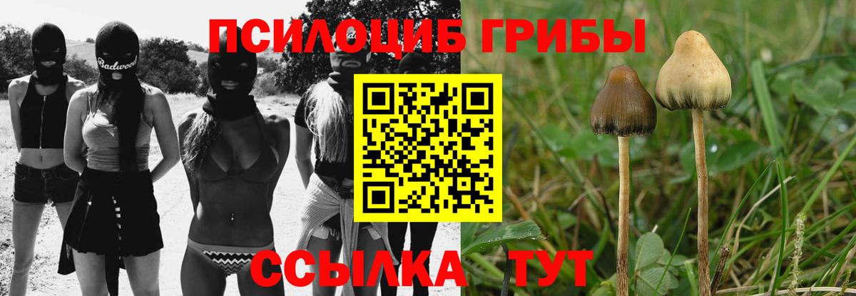 Псилоцибиновые грибы MAGIC MUSHROOMS  Галлюциногенные грибы прущие грибы  Нальчик  Вход с VPN 